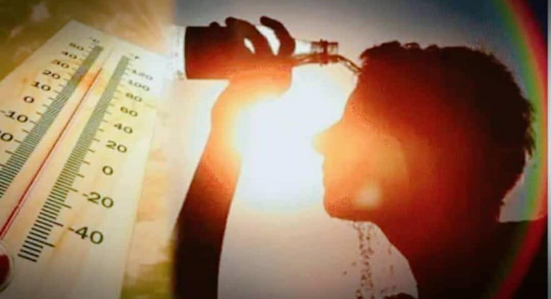 चिलचिलाती गर्मी में खाएं पानी से भरपूर ये Food, रहेंगे तरोताजा और फिट