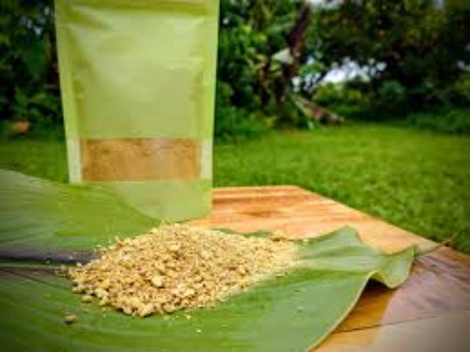 Health Tips : पीली हल्दी की तरह गुणकारी है काली हल्दी, जाने इसके औषधीय गुण, स्वाद में भी उत्तम