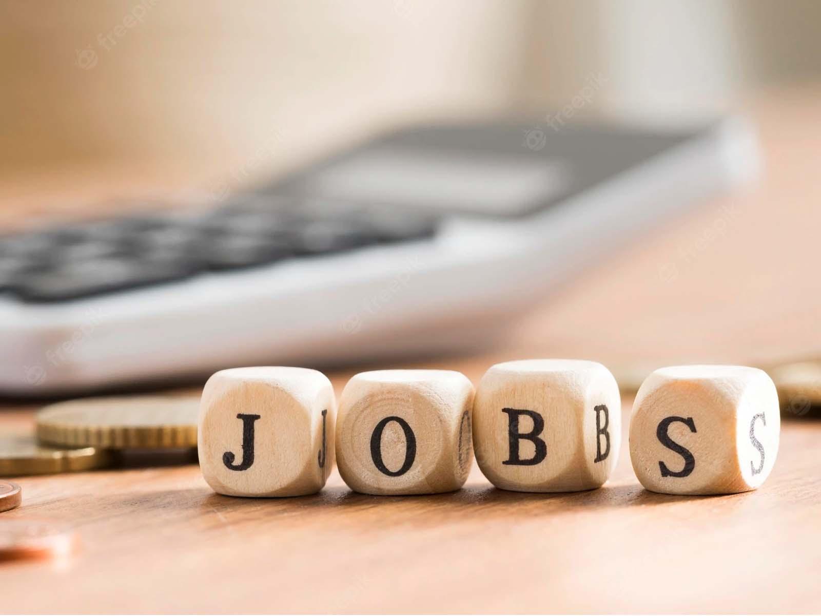 Government Job 2022 : यहाँ 345 पदों पर निकली है भर्ती, जानें आयु-पात्रता, 5 नवंबर से पहले करें आवेदन
