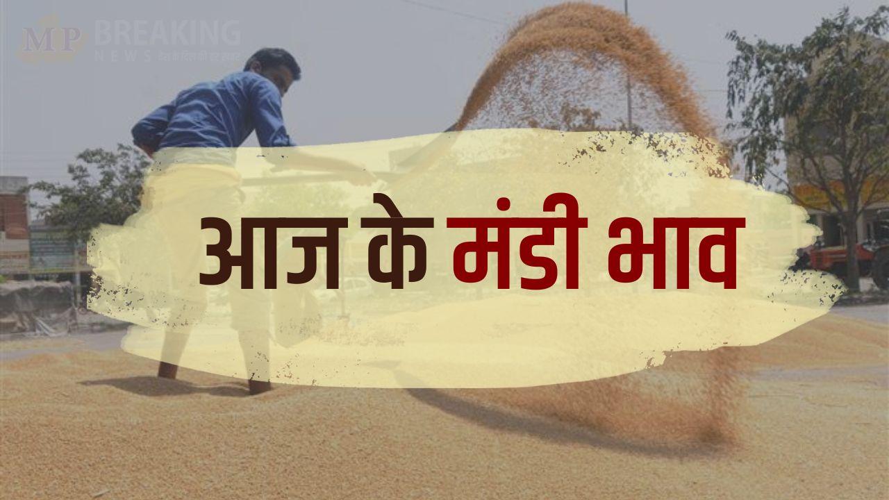 Mandi Bhav: मंडी में बढ़े सरसों और सोयाबीन के दाम, मूंग में मंदी, चना कमजोर