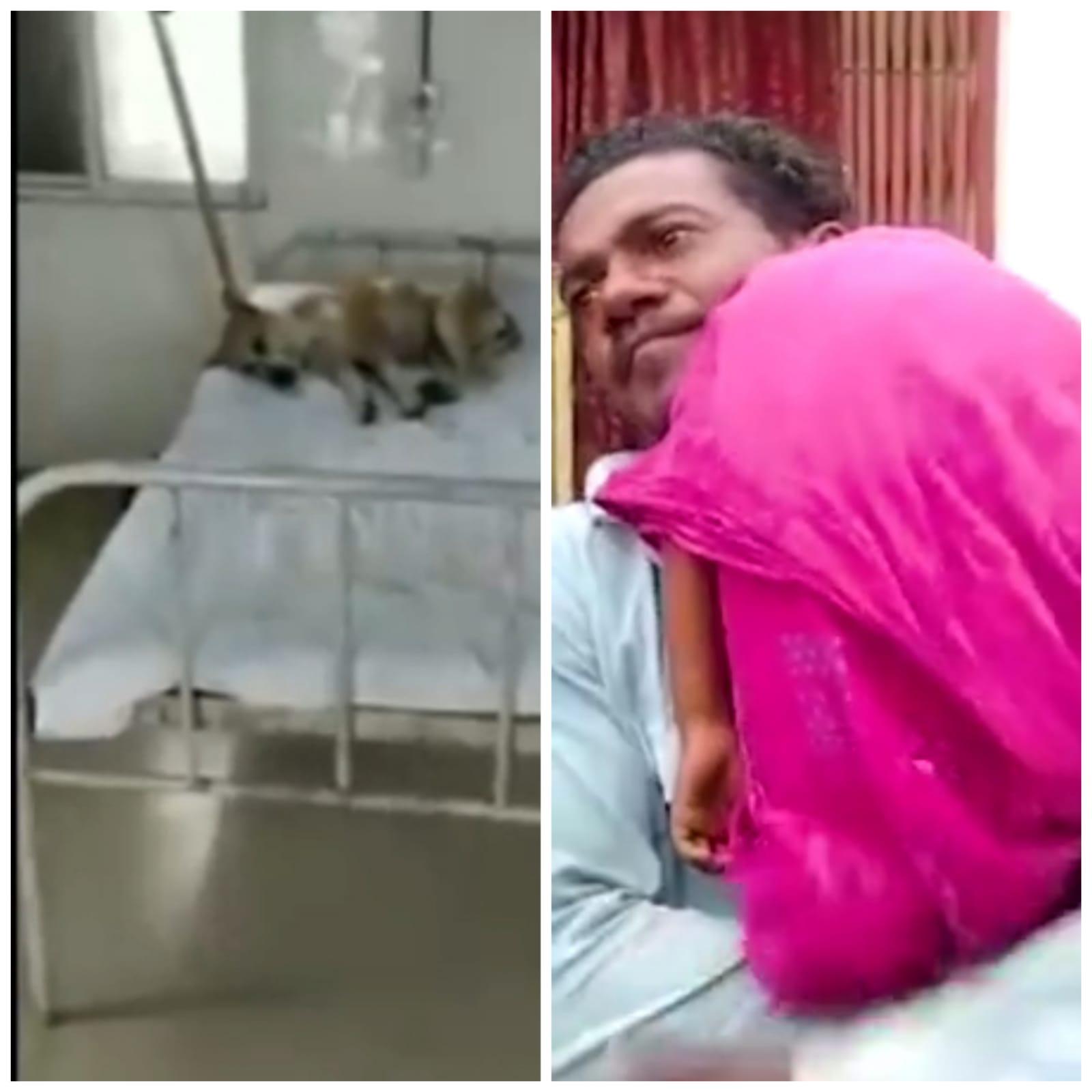 MP: प्रदेश का बदतर हेल्थ सिस्टम, मासूम के शव को नहीं मिली एंबुलेंस, बेड पर सो रहा डॉगी