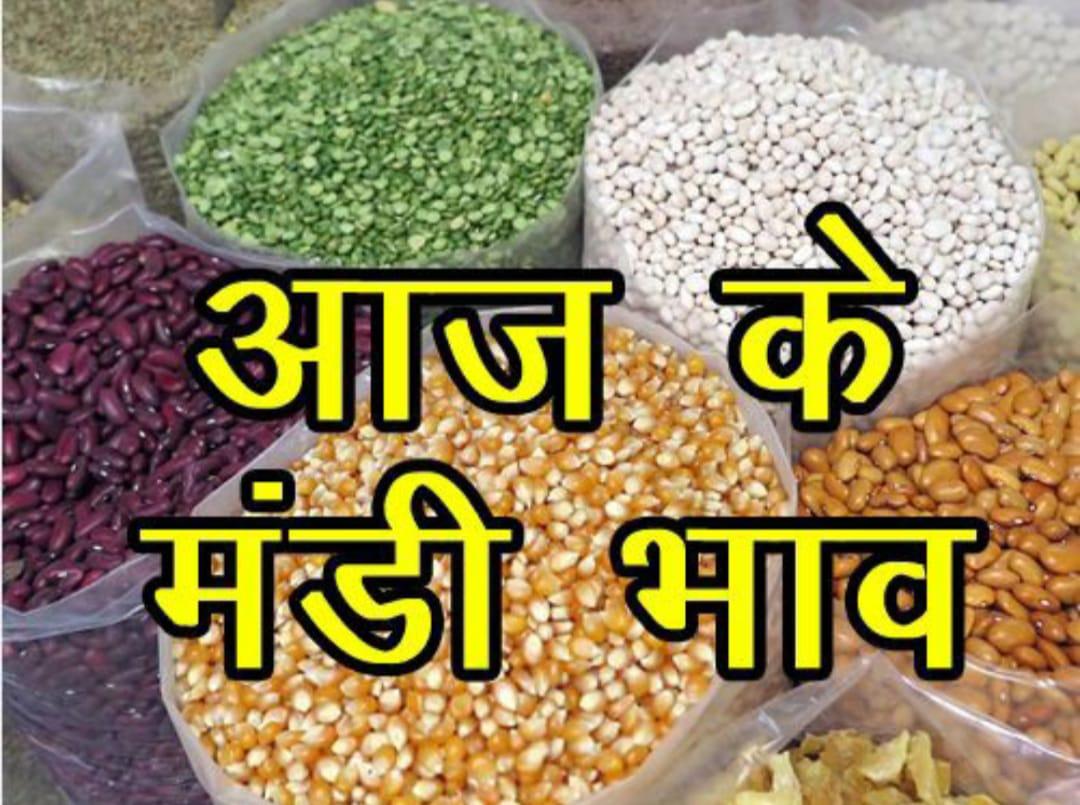 Mandi Bhav: गेहूं के दाम में जबरदस्त गिरावट, तुअर के भाव भी कमजोर