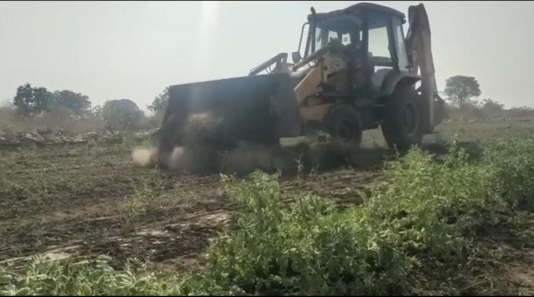 नीमच-किसान के खेत पर चला प्रशासन का बुलडोजर, खड़ी फसल को रौंदा, अलसुबह दिया कार्रवाई को अंजाम