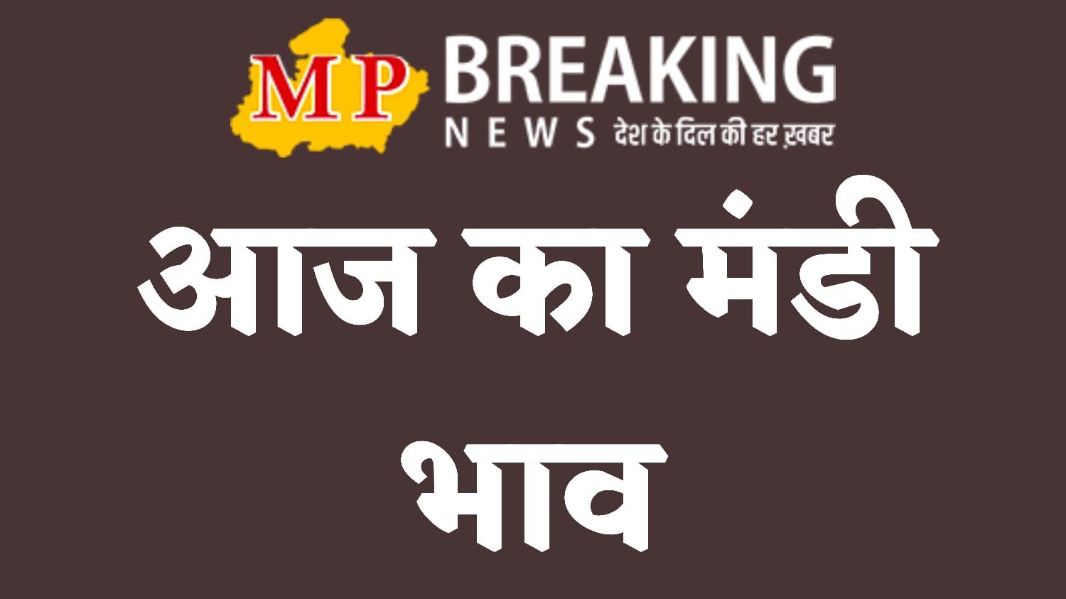 Mandi Bhav: मंडी में मूंग के दाम में तेजी, डॉलर चना कमजोर, जानें 11 मई के ताजा भाव