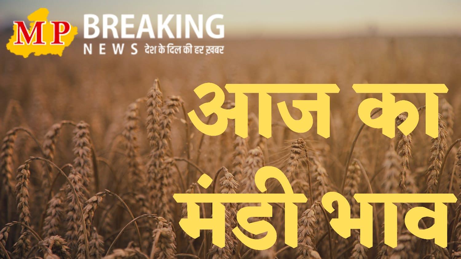 Mandi Bhav : मंडी में तुअर के दाम में आई जबरदस्त तेजी, गेहूं में आई कमी, आसमान छू रहे सब्जियों के दाम