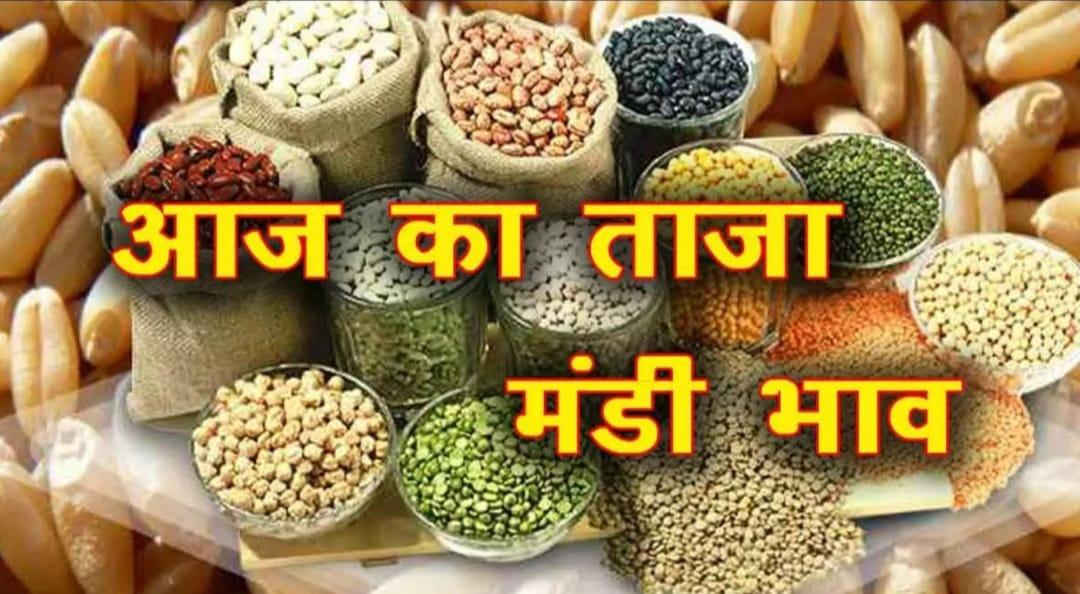 Mandi Bhav : मंडी में डॉलर चना के दाम में बढ़ोत्तरी, सोयाबीन में सुधार, देखें 20 जून के सटीक रेट
