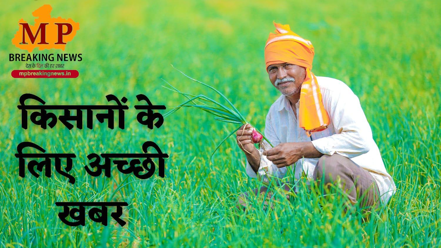 MP News: उपार्जन नीति घोषित, 22 नवम्बर से समर्थन मूल्य पर ज्वार-बाजरा की खरीदी, जानें रेट-नियम, धान-सोयाबीन खरीद पर भी अपडेट