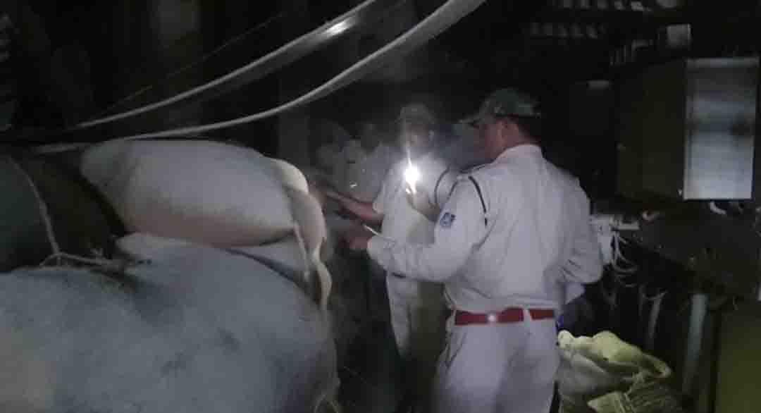 Damoh News : गंगा-जमना स्कूल के संचालक के दाल मिल व घर पर जीएसटी का छापा