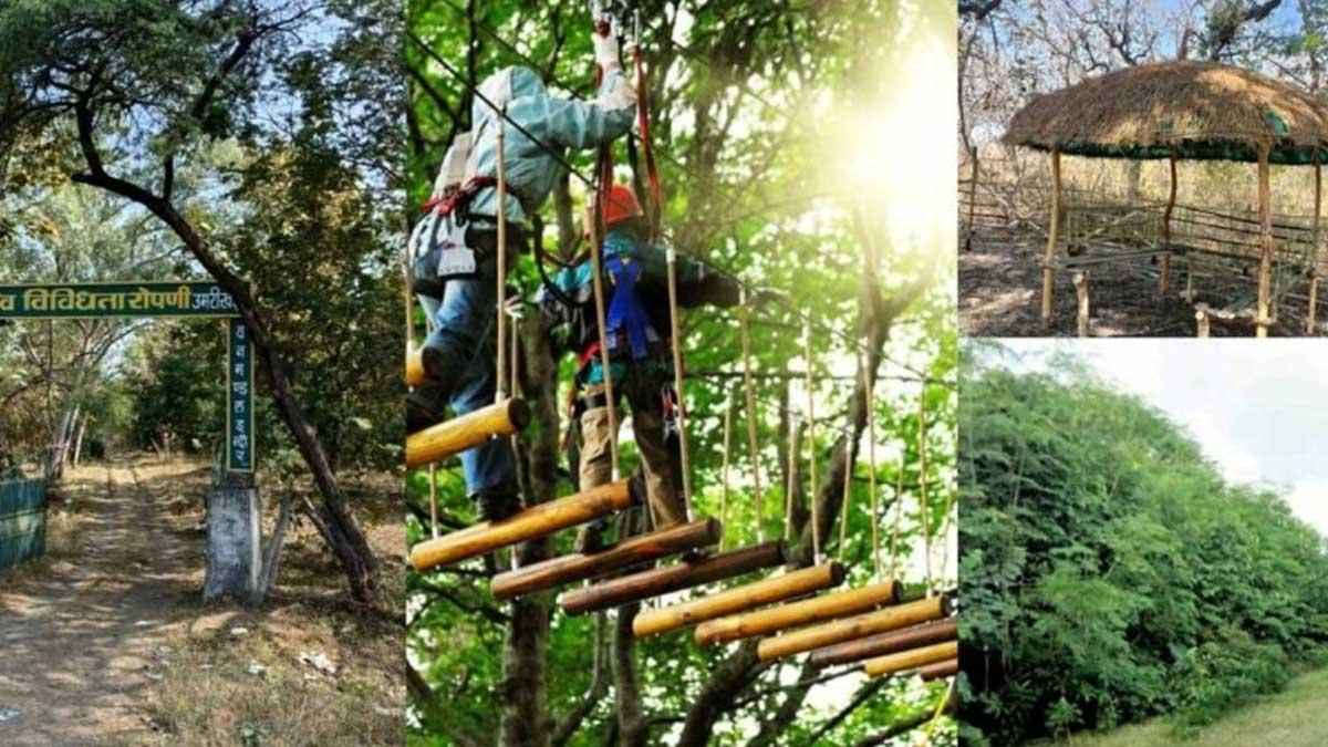 Indore Amusement Park : जल्द पर्यटकों के लिए खिलेगा उमेरीखेड़ा मनोरंजन पार्क, इतने रूपये रहेगी टिकट