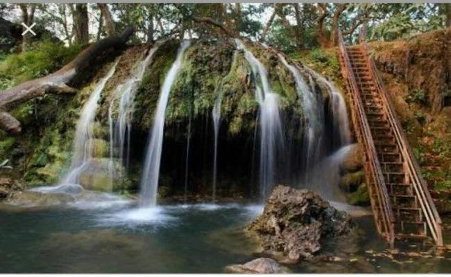 प्रकृति की गोद में बसा है जयंती माता वाटरफॉल, घने जंगल के बीच उठा सकते हैं ट्रेकिंग का लुत्फ