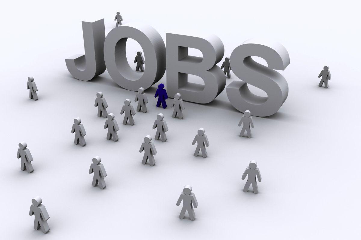 नौसेना डॉकयार्ड में निकली है अप्रेंटिसशिप के पदों पर भर्ती, 2 जनवरी 2025 लास्ट डेट, जानें आयु-पात्रता