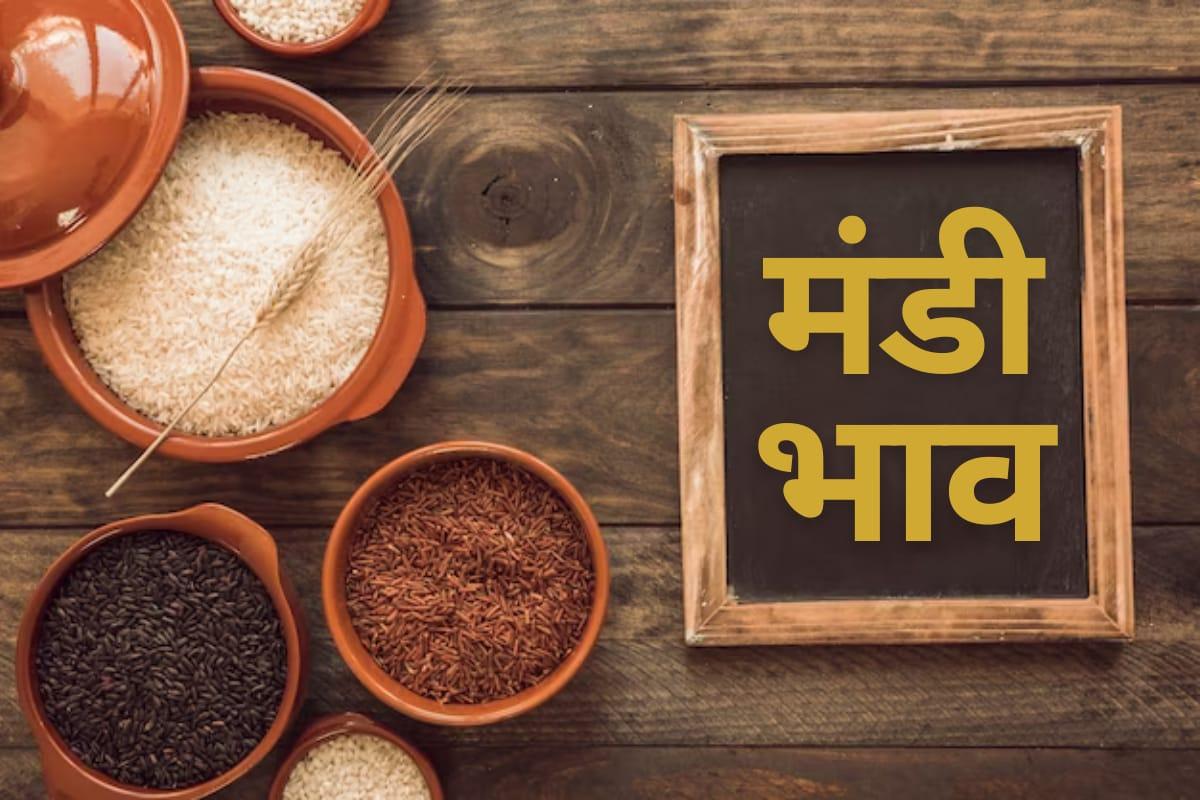 तुअर के दाम में आई जबरदस्त गिरावट, डॉलर चना में मंदी, सोयाबीन तेज, देखें 7 फरवरी का मंडी भाव