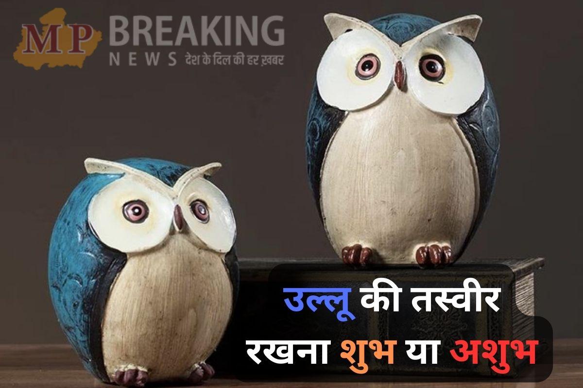 लक्ष्मी जी के वाहन ‘उल्लू’ की तस्वीर को घर में रखना शुभ होता है या अशुभ, जानें इससे जुड़े नियम