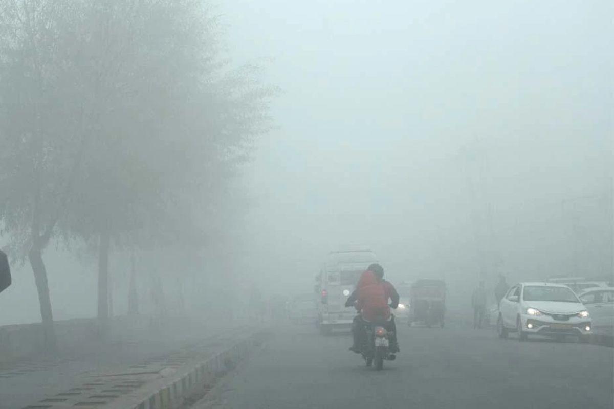 IMD Weather Alert : कई राज्यों में कोल्ड डे का अलर्ट, अभी और सताएगी ठंड, कोहरे से ढंके रहेंगे शहर