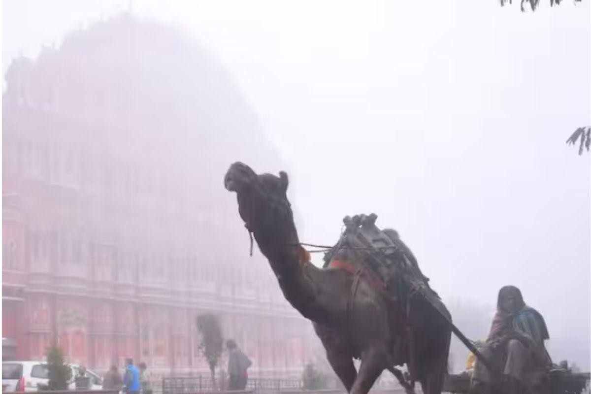 Rajasthan Weather : मौसम में बदलाव जारी, माउंट आबू में पारा 5 डिग्री, कई जिलों में कोहरे का अलर्ट, जानें पूरे हफ्ते के वेदर का हाल