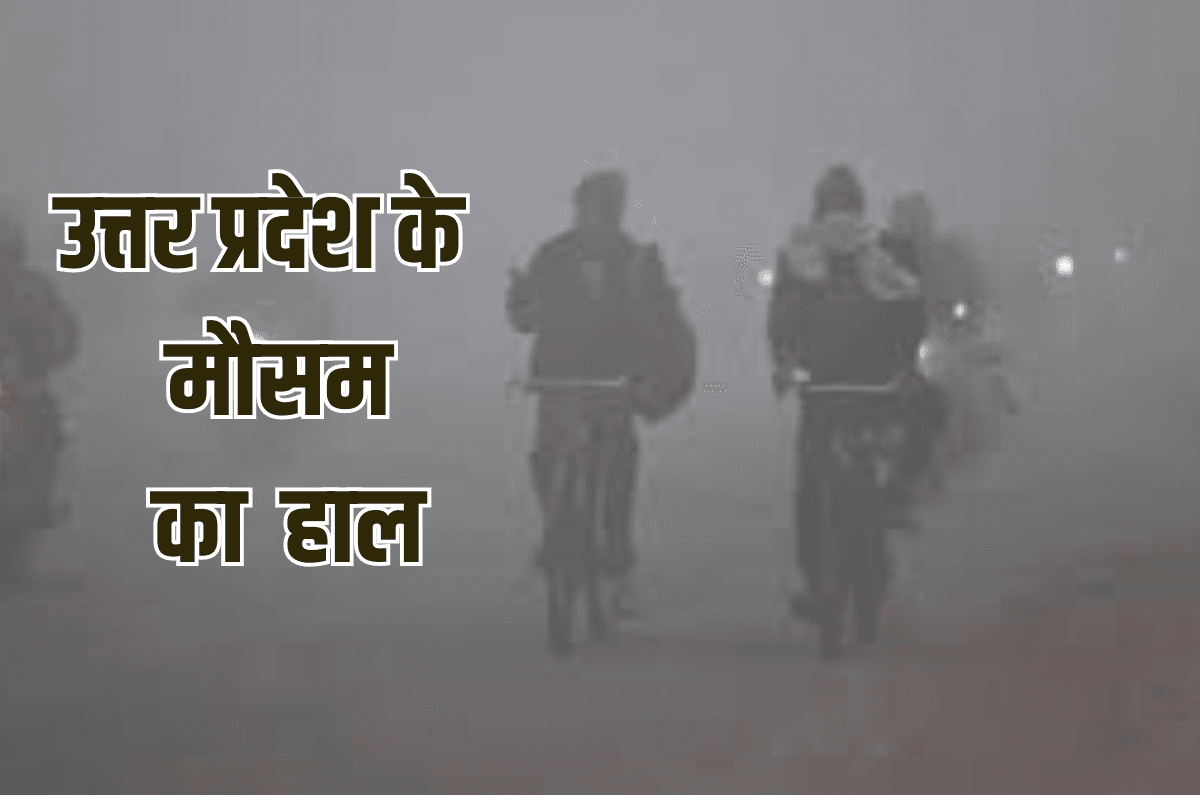 UP Weather : 30 से ज्यादा जिलों में घने कोहरे का अलर्ट, शीतलहर का भी असर, जानें शहरों का ताजा हाल-IMD पूर्वानुमान