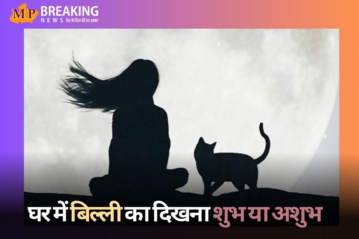 क्या आपके भी घर में घूमती फिरती रहती है बिल्ली, हो सकते हैं ये संकेत, जानें शुभ या अशुभ