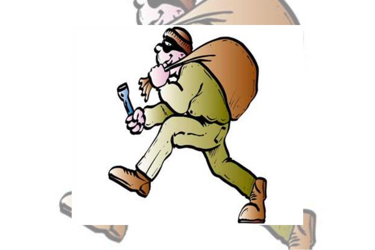 जबलपुर के भेड़ाघाट में ज्वेलरी से भरा बैग लेकर फरार हुआ चोर, तलाश जारी