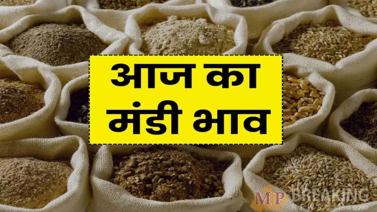 Mandi Bhav: डॉलर चना के दाम में तेजी, बढ़े मूंग के भाव, देखें आज का सटीक रेट