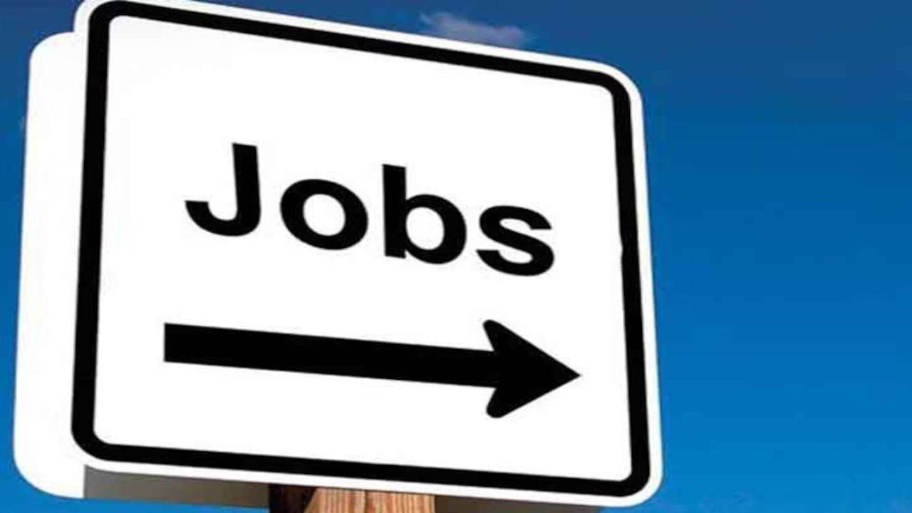 EXIM Bank Vacancy : 20 पदों पर भर्ती, 26 जनवरी से आवेदन, आयु सीमा 28 वर्ष, जानें डिटेल्स