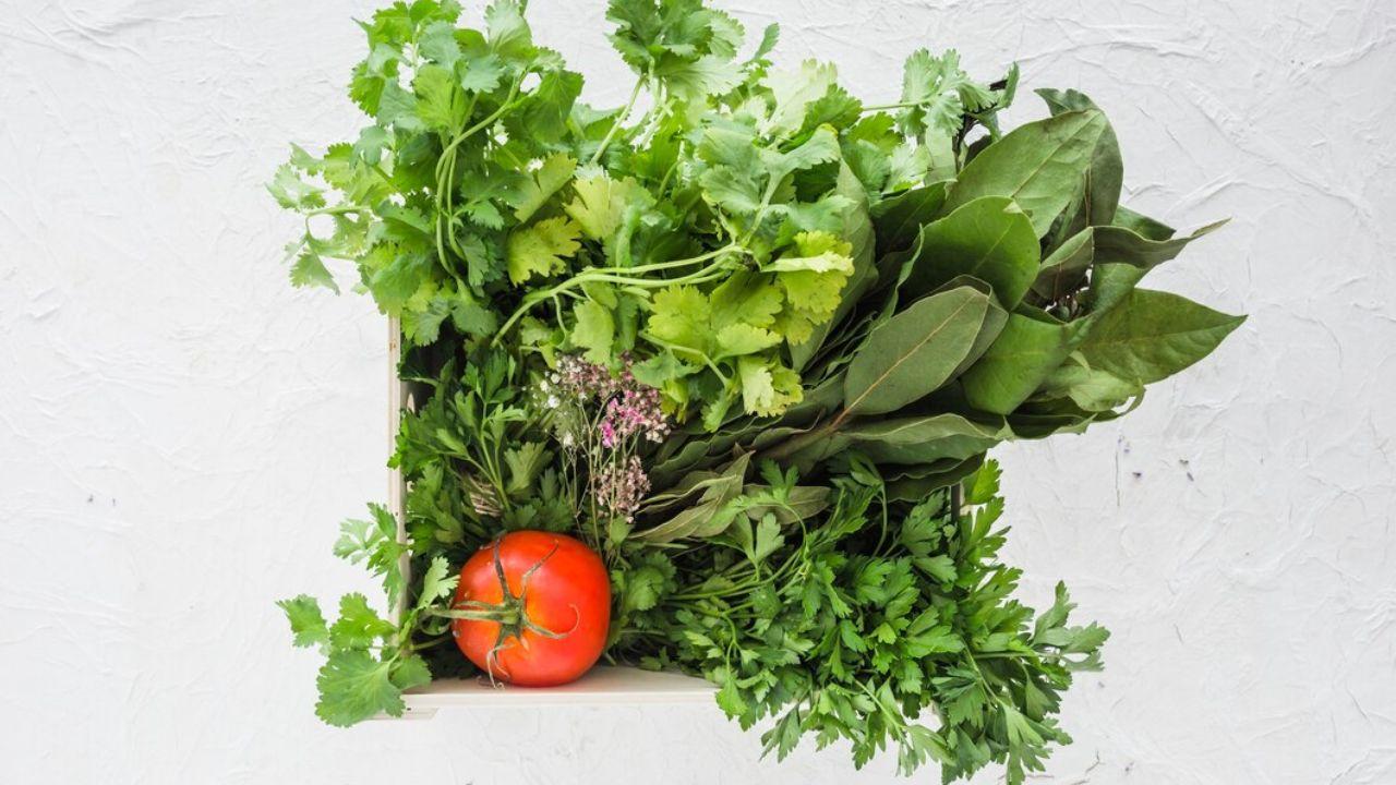 Health: सिर्फ स्वाद ही नहीं सेहत का भी खजाना है ये हरा पत्ता, जानें क्या-क्या हैं इसके फायदे