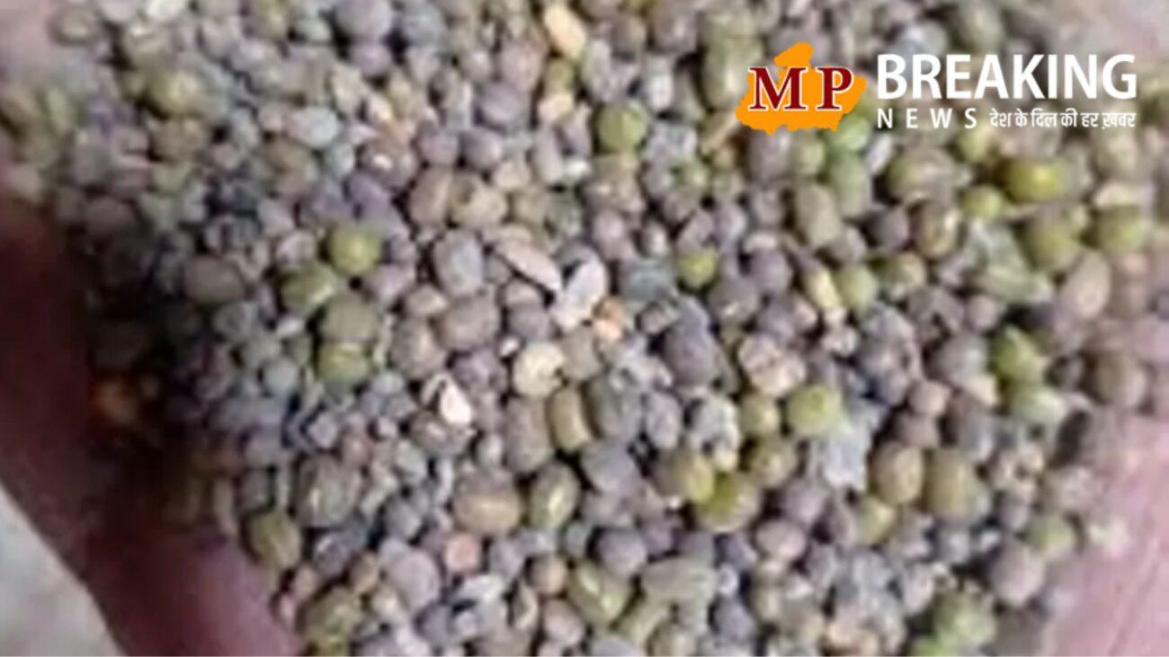 MP News: नर्मदापुरम से सामने आया हेराफेरी का बड़ा मामला, सरकारी वेयरहाउस में मूंग बदलकर मिलाई गई मिट्‌टी और दाल, कीमत करीब 14 करोड़ रुपए