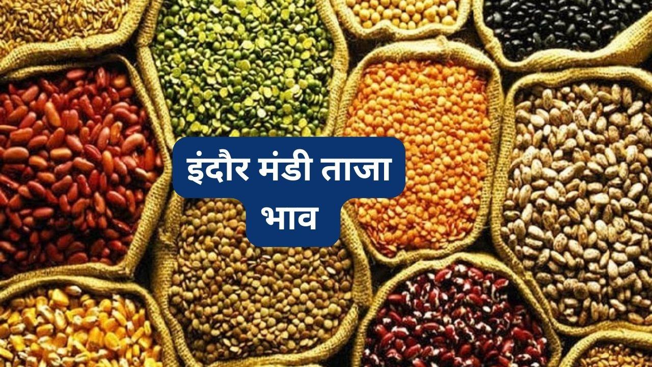 Mandi Bhav: तुअर के भाव में जबरदस्त तेजी, बढ़े मूंग और डॉलर चना के दाम, देखें 3 जनवरी सटीक रेट