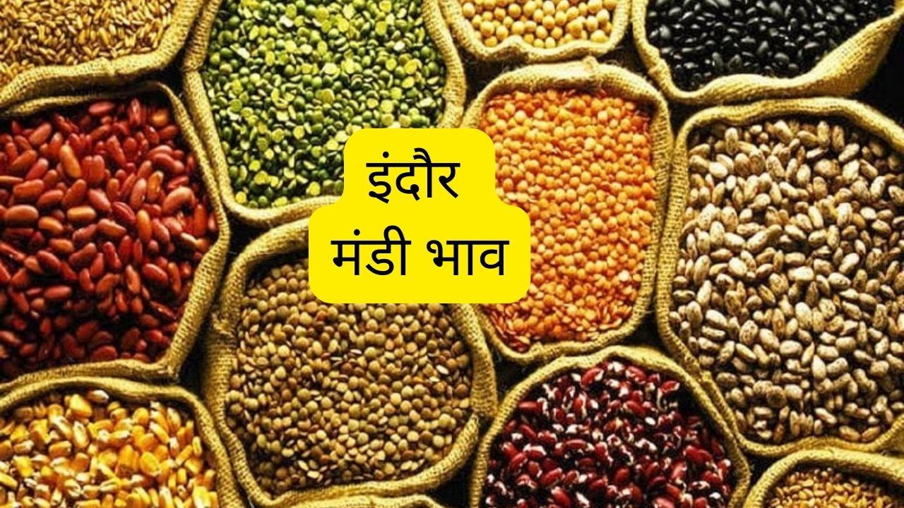 Mandi Bhav: गेहूं-सोयाबीन में मंदी, बढ़े मूंग-मसूर के भाव, देखें 20 सितंबर का सटीक रेट
