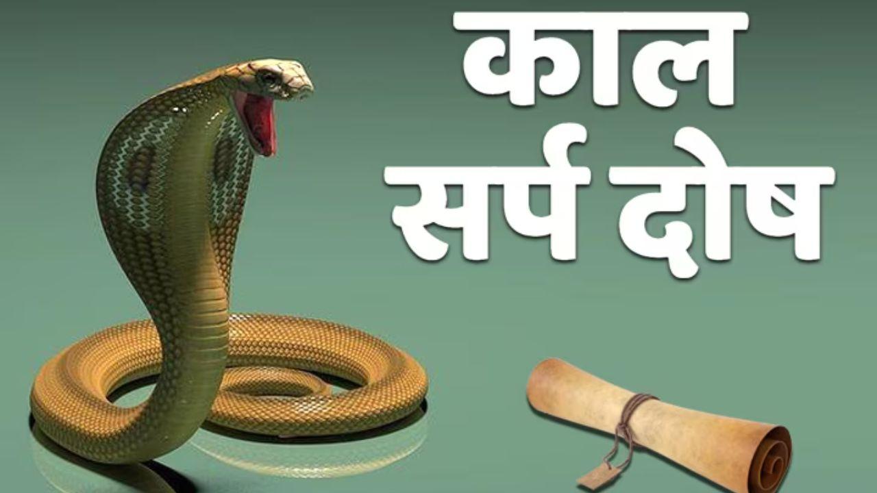 Kaal Sarp Dosh Upay: कालसर्प दोष से पीड़ित जातकों को जरूर करना चाहिए ये 6 उपाय, दूर हो जाएंगे सारे कष्ट