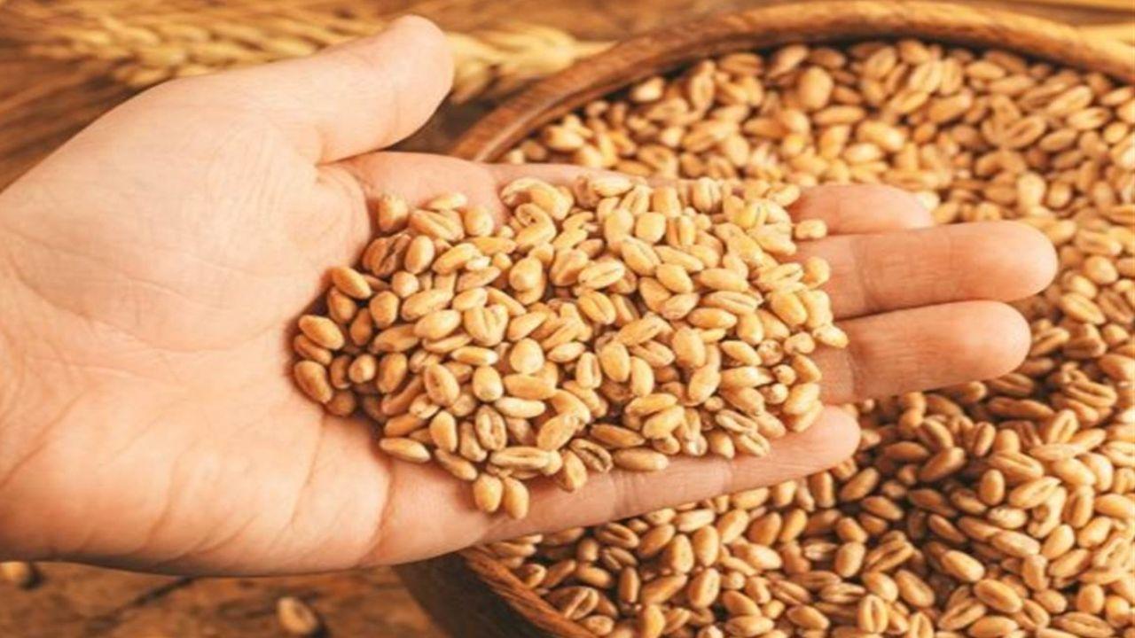 MP ई-मंडी योजना : 1 जनवरी से बी श्रेणी की 41 मंडियों में होगी शुरू, किसानों को मोबाइल पर मिलेगी ये सारी डिटेल्स, ऑनलाइन बना सकेंगें प्रवेश पर्ची