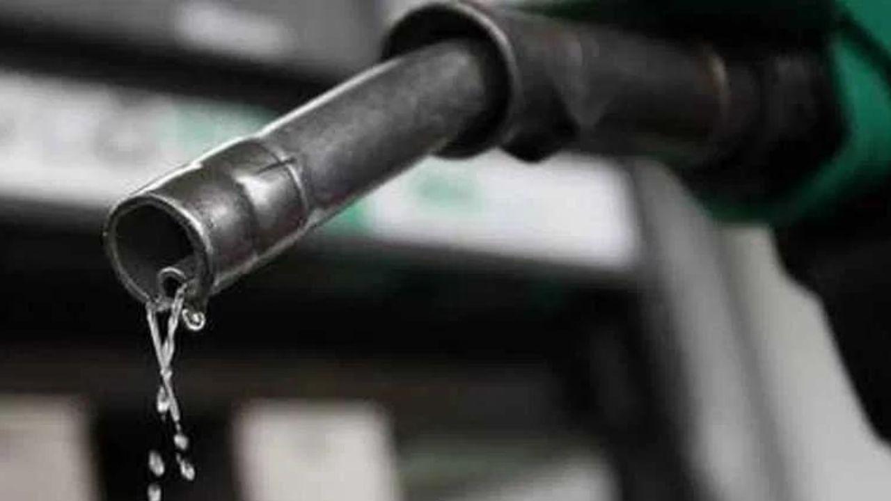 Bhopal News: नगर निगम आयुक्त ने की कार्रवाई, डीजल चोरी कर रहे वाहन चालकों को किया बर्खास्त, दर्ज कराई FIR