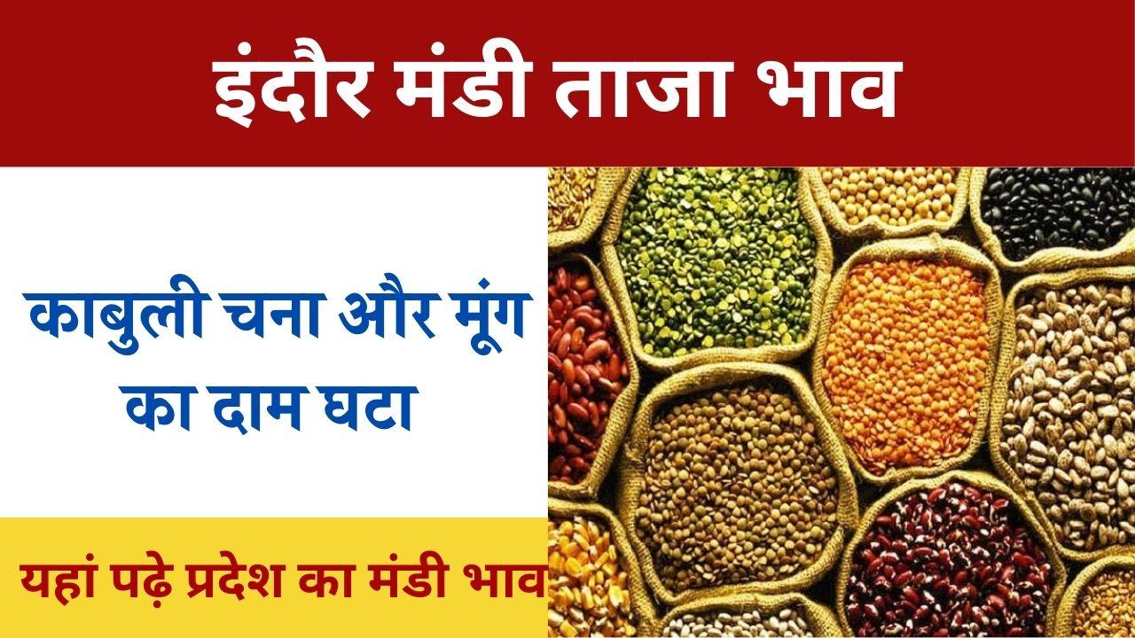 Mandi Bhav: काबुली चने का दाम घटा, मूंग में भी आई गिरावट, चना कांटा के दाम 100 रुपये तक टूटे, यहां पढ़े प्रदेश का मंडी भाव