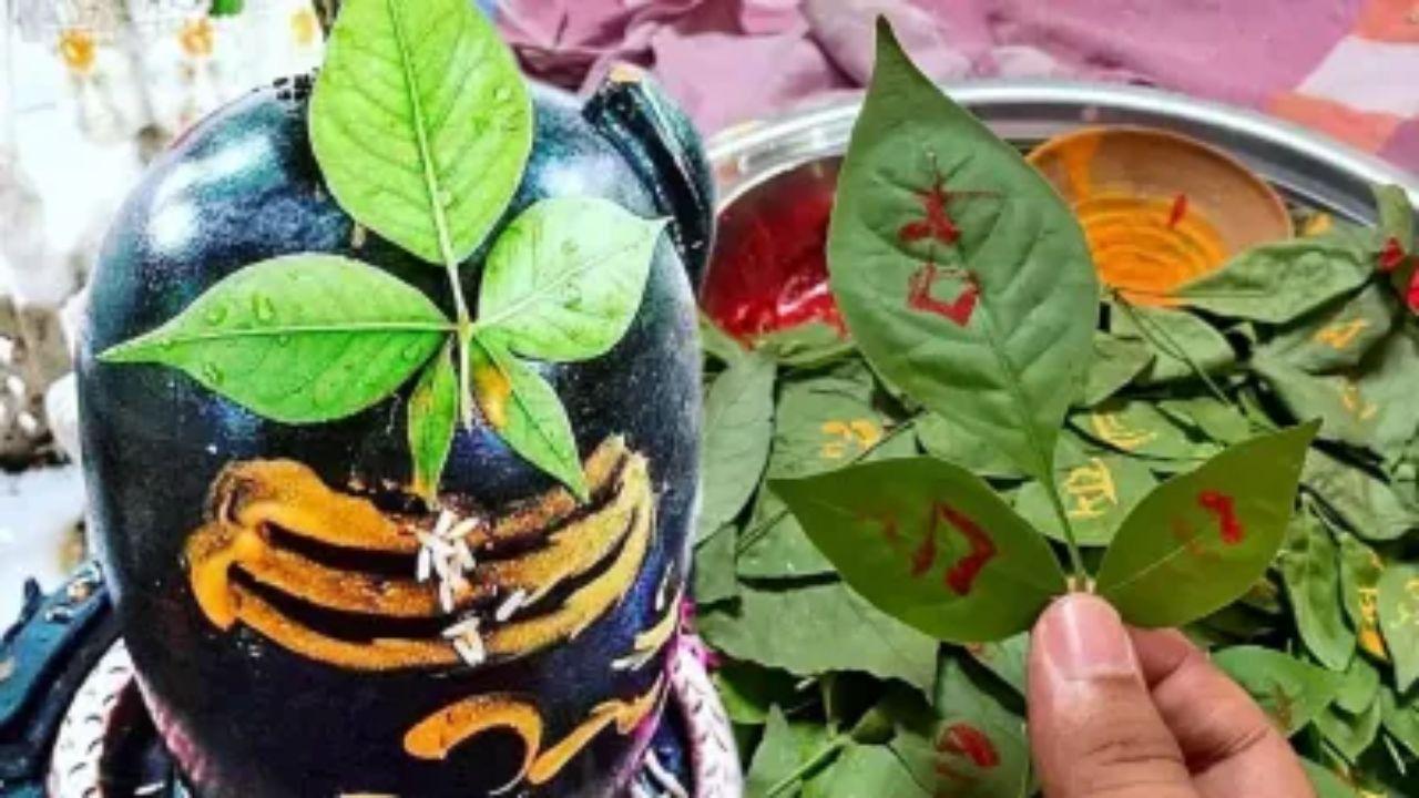 Sawan 2024: भगवान शिव को बेलपत्र ऐसे करनी चाहिए अर्पित, जानें सही तरीका और नियम