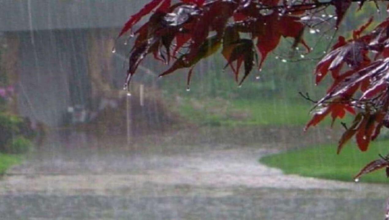 ​नीमच के जीरन में प्रकृति का तांडव, भारी ओलावृष्टि और आंधी से अफीम, कलौंजी की फसलें हुई तबाह