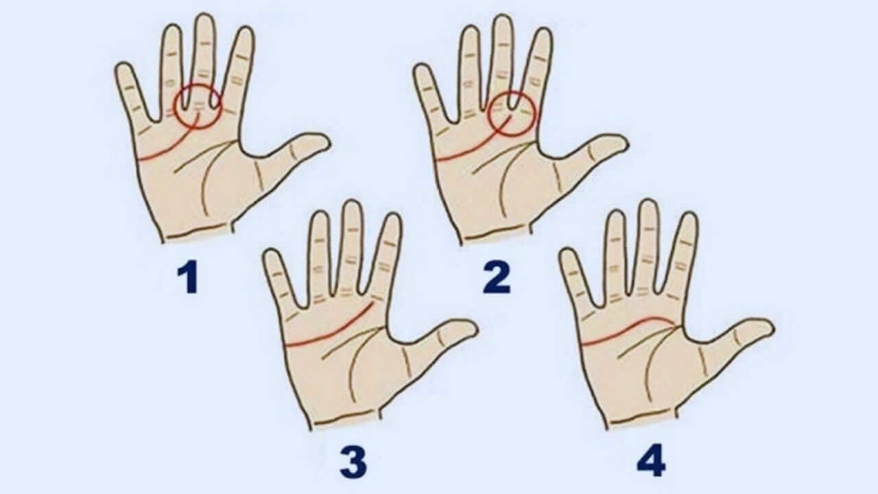 Personality Test: हथेली में छुपे हैं व्यक्तित्व के गहरे राज, आकार से जानें व्यक्ति का स्वभाव