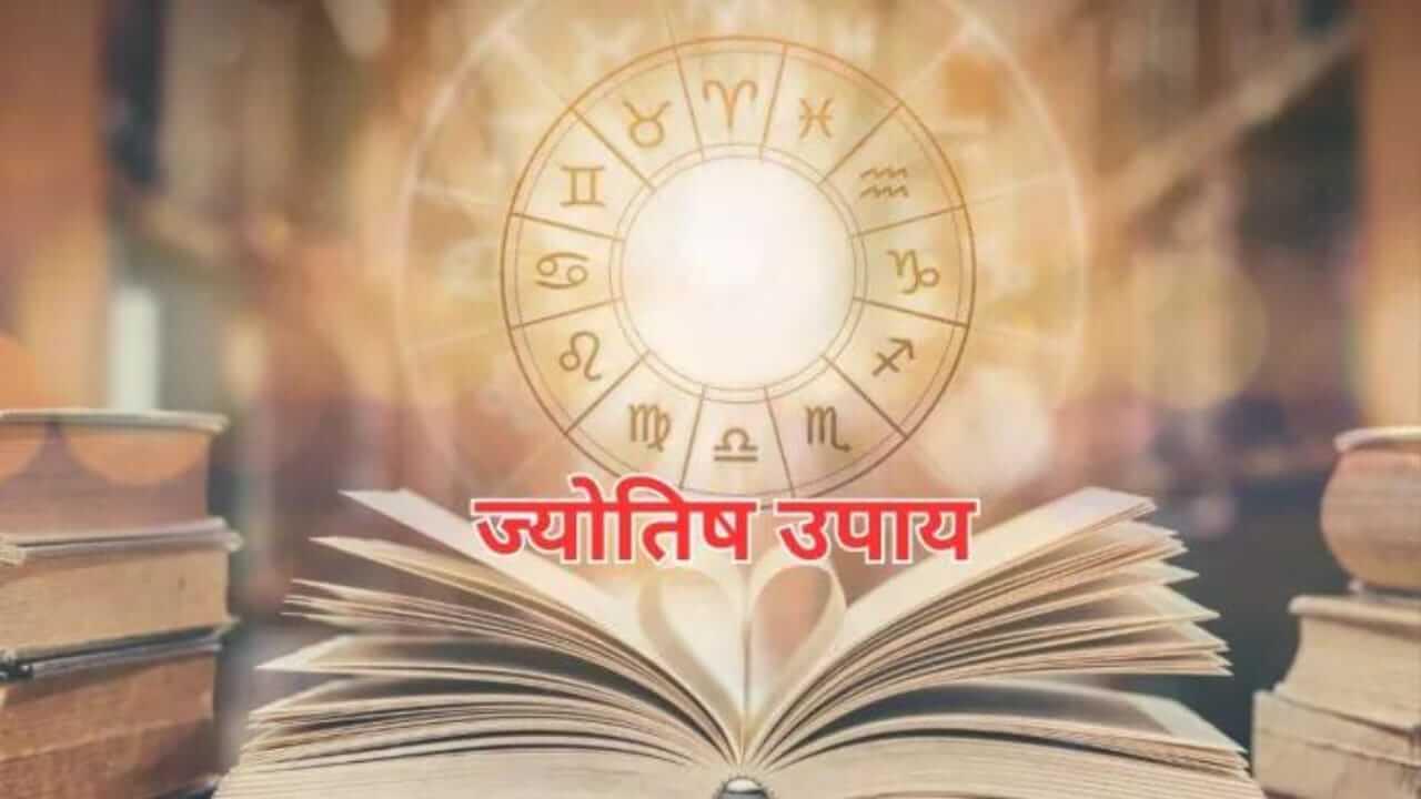 तिजोरी में रखें इस पेड़ की जड़, कभी नहीं होगी धन की कमी, बना रहेगा माता लक्ष्मी का आशीर्वाद