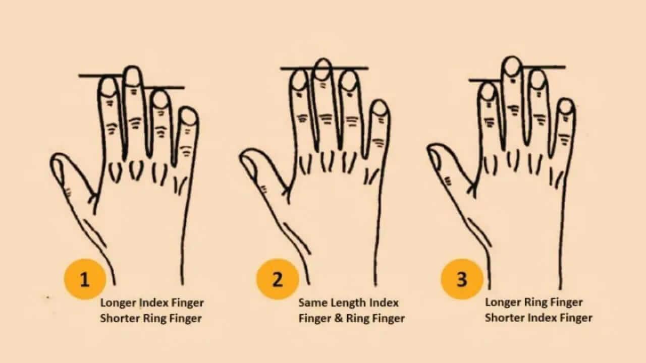 Personality Test: तर्जनी और अनामिका उंगली की लंबाई से जानें व्यक्तित्व, आकार खोलेगा दिल में छुपे राज