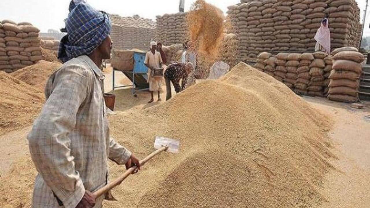 किसानों के लिए अच्छी खबर : MSP पर गेहूं उपार्जन के लिए 7 फरवरी से 7 मार्च तक होगा पंजीयन, खाद्य मंत्री ने की ये अपील