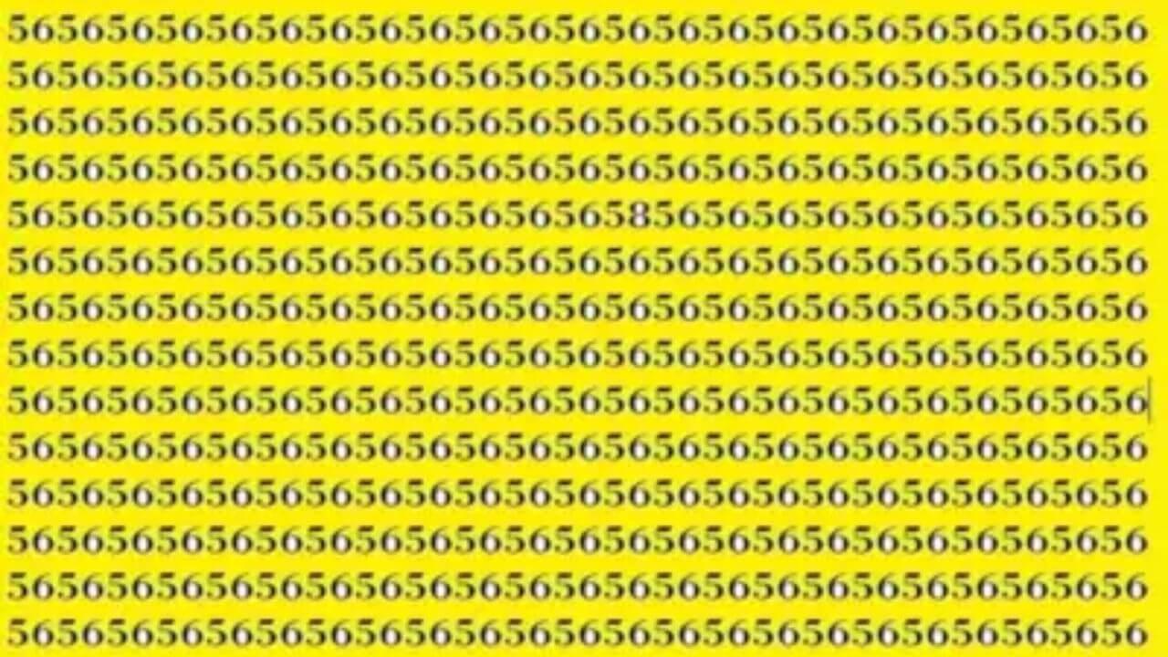 Optical Illusion: क्या आप 10 सेकंड में इस चित्र में छुपा 58 ढूंढ सकते हैं?
