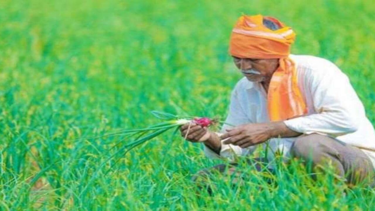 PM Fasal Bima Yojana: किसानों के लिए जरूरी खबर, इस तारीख तक सकते है आवेदन, जानें प्रक्रिया