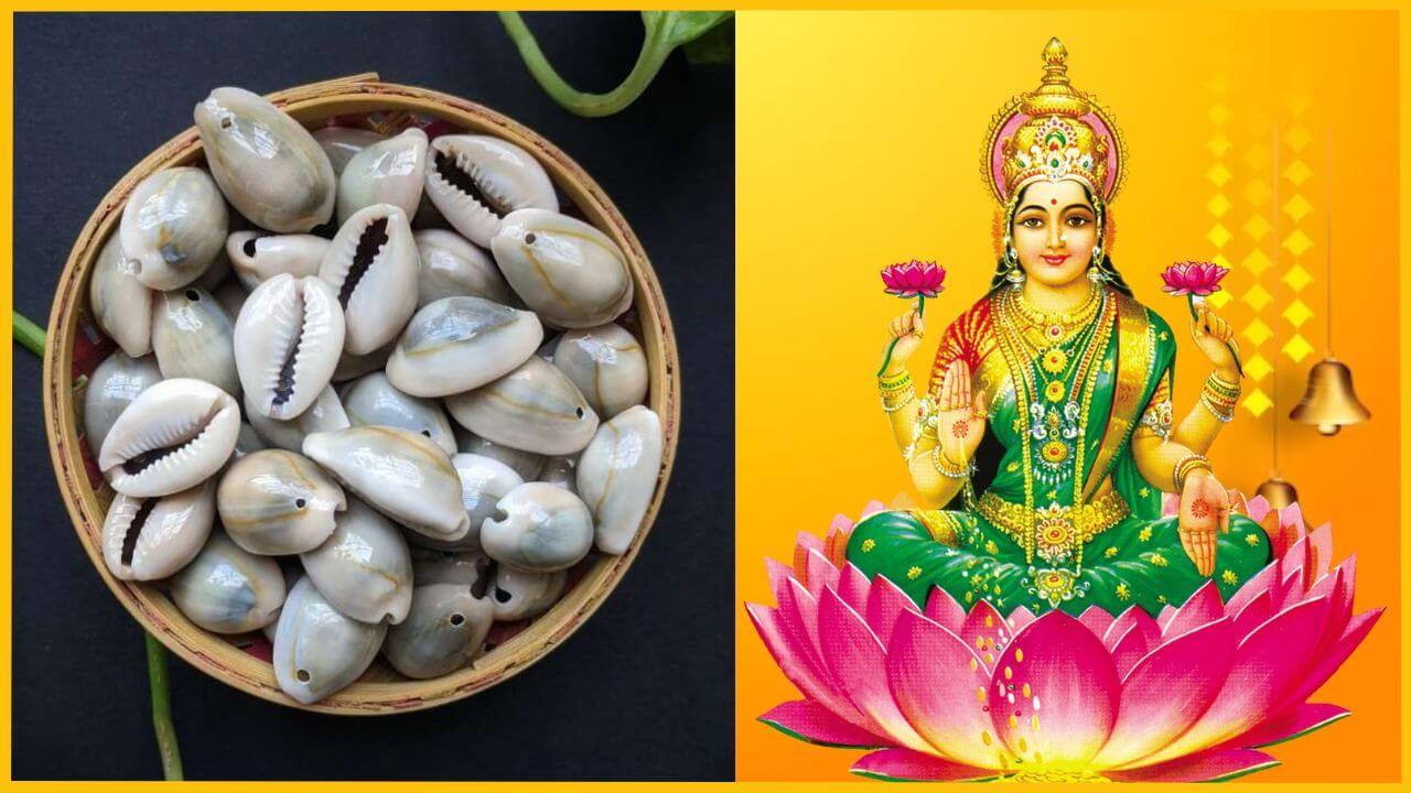 दिवाली पर करें कौड़ी से जुड़े ये 4 उपाय, कभी नहीं होगी पैसों की कमी, बरसेगी माँ लक्ष्मी की कृपा