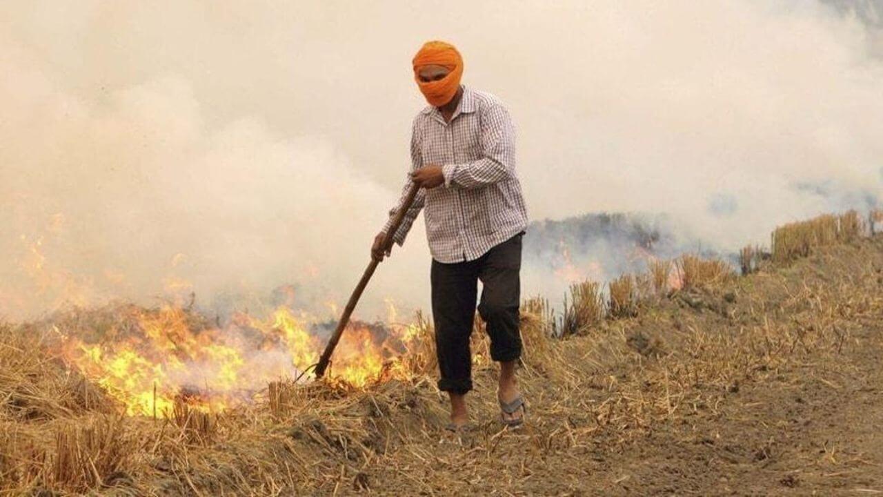 MP में पराली जलाने पर प्रतिबंध के बावजूद सतना जिले में 225 मामले सामने आए, प्रशासन के निर्देशों की उड़ रही धज्जियां