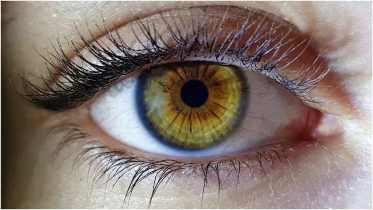 आंखों की रोशनी बढ़ाने के लिए अपनाएं ये 6 नेचुरल तरीके, हट जाएगा चश्मा