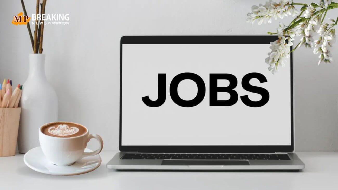 जॉब सर्च करने का क्या है सही तरीका? यहां जानें कैसे मिलेगी अब आपकी ड्रीम जॉब