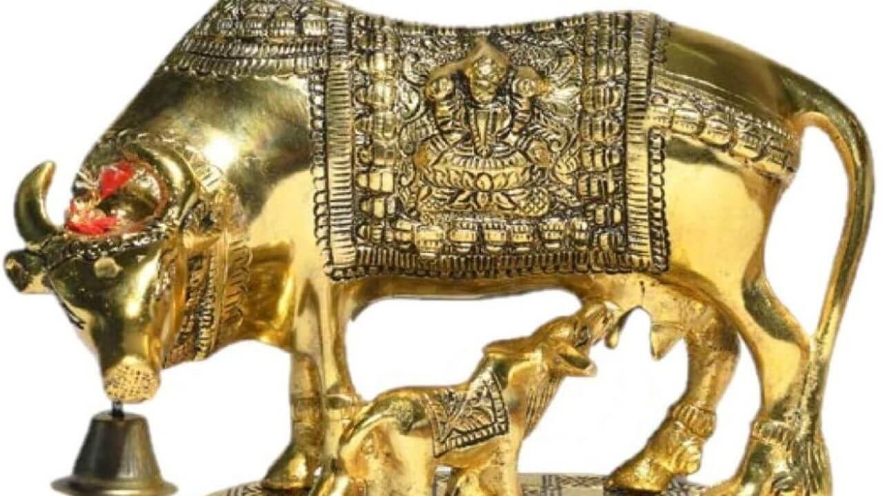 देव उठनी एकादशी के दिन घर में ले आएं कामधेनु गाय की प्रतिमा, होंगे फायदे ही फायदे