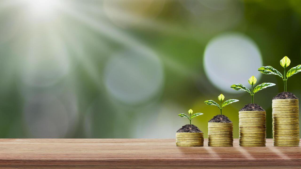 साल 2025 में फाइनेंशियल ग्रोथ बढ़ाने के लिए अपनाएं ये असरदार उपाय, जानें ये खास वास्तु टिप्स