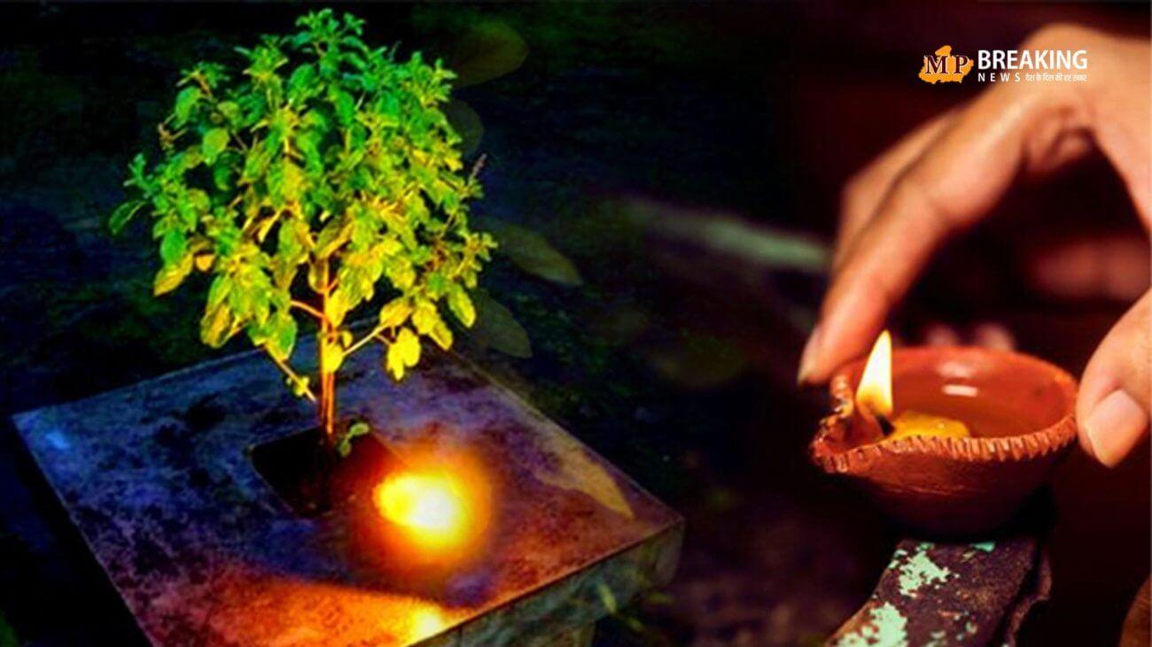 आज मनाया जा रहा तुलसी पूजन दिवस, यहां जानिए शुभ मुहूर्त और पूजा विधि