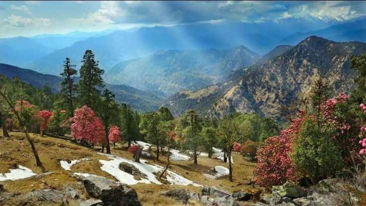 Christmas 2024 पर बर्फीले नजारों का लेना चाहते हैं आनंद? ये जगहें रहेंगी परफेक्ट