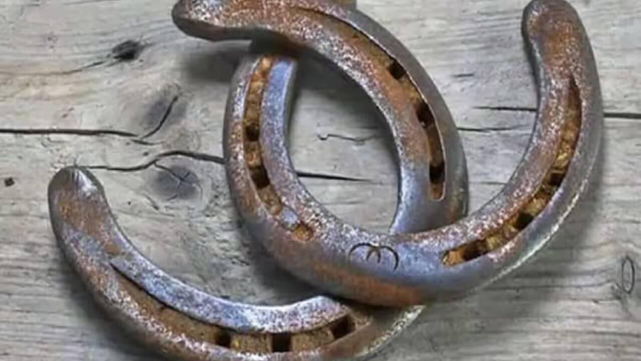 घर के दरवाजे पर घोड़े की नाल लगाने से होते हैं ये 5 फायदे, देवगणों का मिलता है विशेष आशीर्वाद