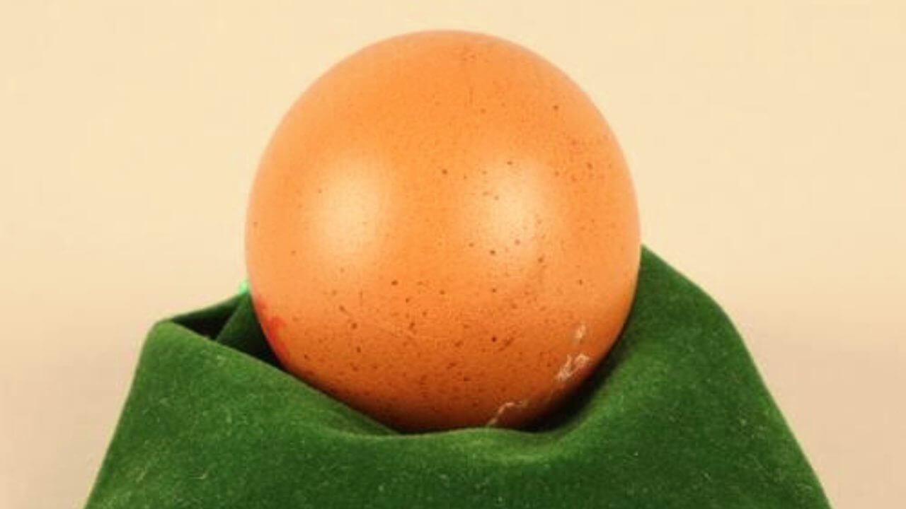 One in billion egg : एक अंडे के लिए आप कितनी कीमत चुकाएंगे, यहां 21000 में बिका है ये अरबों में एक ‘गोल अंडा’